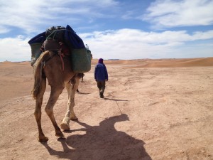 Sahara Trek | Adventurous Ewe