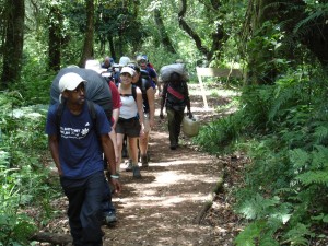 Mt Kenya 