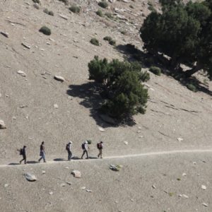 Mt Toubkal Summer Trek – private group