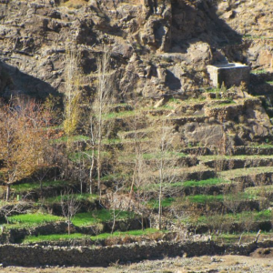 Mt Toubkal Summer Trek – private group