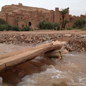 Adventure for Animals Sahara Desert Trek