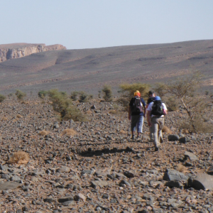 IAPWA & StreetVet Sahara Desert Trek