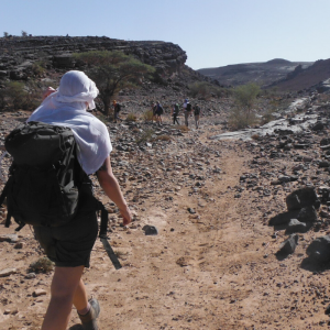 Adventure for Animals Sahara Desert Trek
