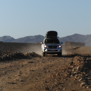 IAPWA & StreetVet Sahara Desert Trek