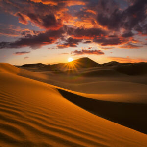 Adventure for Animals Sahara Desert Trek