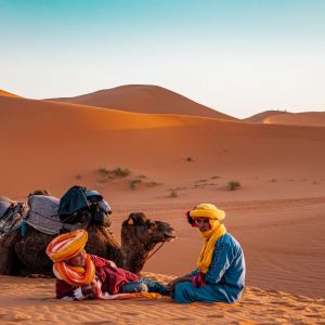 Adventure for Animals Sahara Desert Trek