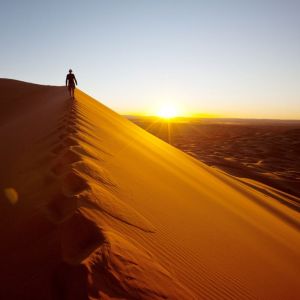Adventure for Animals Sahara Desert Trek