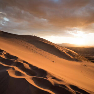 Adventure for Animals Sahara Desert Trek