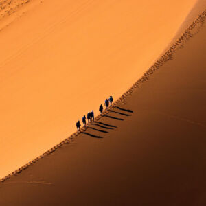 Adventure for Animals Sahara Desert Trek