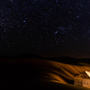 Adventure for Animals Sahara Desert Trek