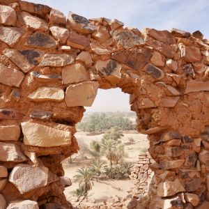 Adventure for Animals Sahara Desert Trek