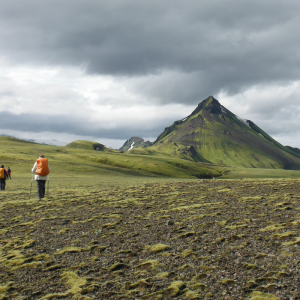 Laugavegur Trail Iceland Trek