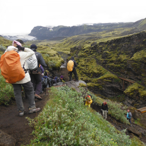 Laugavegur Trail Iceland Trek