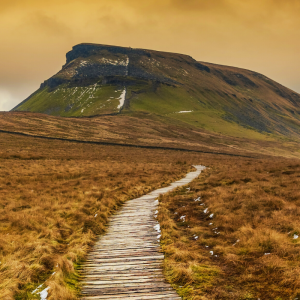 Yorkshire 3 Peaks Challenge