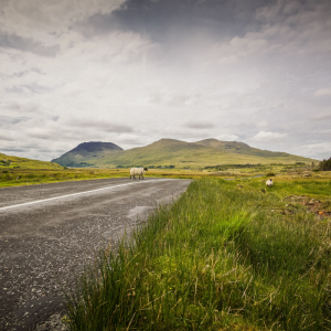 Ireland’s Ancient East Coast Cycling Adventure