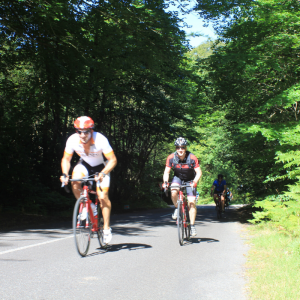 Ireland’s Ancient East Coast Cycling Adventure