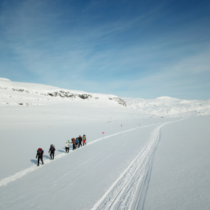 Kings Trail Arctic Snowshoe Expedition