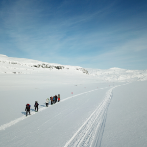 StreetVet Kings Trail Arctic Snowshoe and Northern Lights Expedition