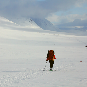 Kings Trail Arctic Snowshoe Expedition