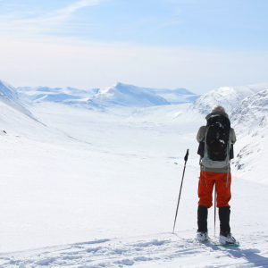 StreetVet Kings Trail Arctic Snowshoe and Northern Lights Expedition