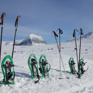 StreetVet Kings Trail Arctic Snowshoe and Northern Lights Expedition