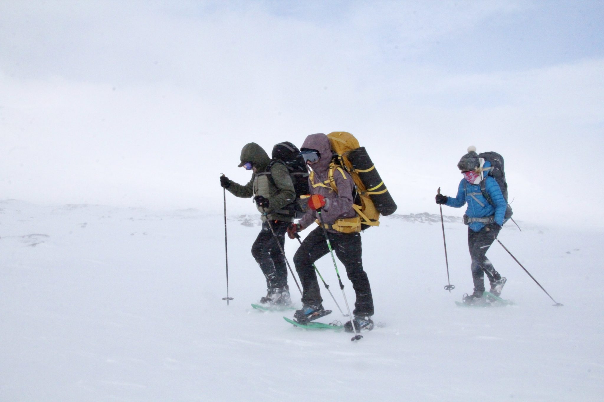 Trekking the Kings Trail Arctic Trek