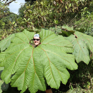 Costa Rica Journey to the Sea