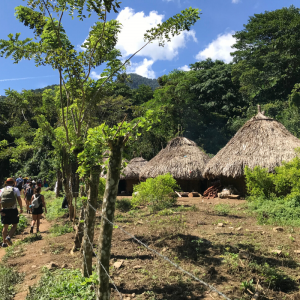 Explore Colombia and The Lost City Trek