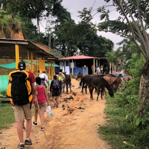 Explore Colombia and The Lost City Trek