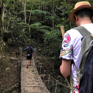 Explore Colombia and The Lost City Trek