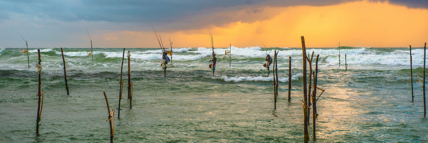 Sri Lanka | Cycle Top to Tail