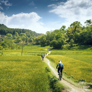 Top to Tail Sri Lanka Cycling Challenge