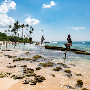 Top to Tail Sri Lanka Cycling Challenge