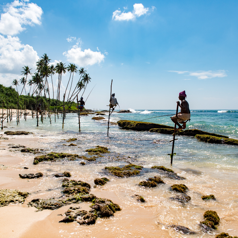 Sri Lanka Top to Tail Cycling Holiday 