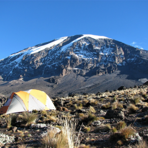 Adventure Queens IWD Kilimanjaro Trek with Jo Bradshaw