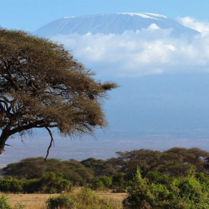 Team McKeown Mt Kilimanjaro Trek