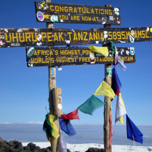 Team McKeown Mt Kilimanjaro Trek