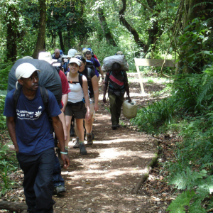 Adventure Queens IWD Kilimanjaro Trek with Jo Bradshaw