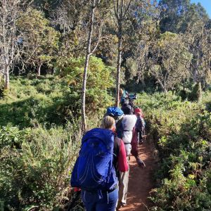 Kilimanjaro Trek – Private Group with Jo Bradshaw