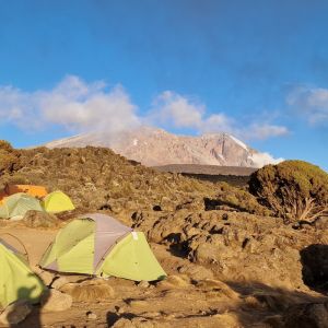 Kilimanjaro Trek – Private Group with Jo Bradshaw