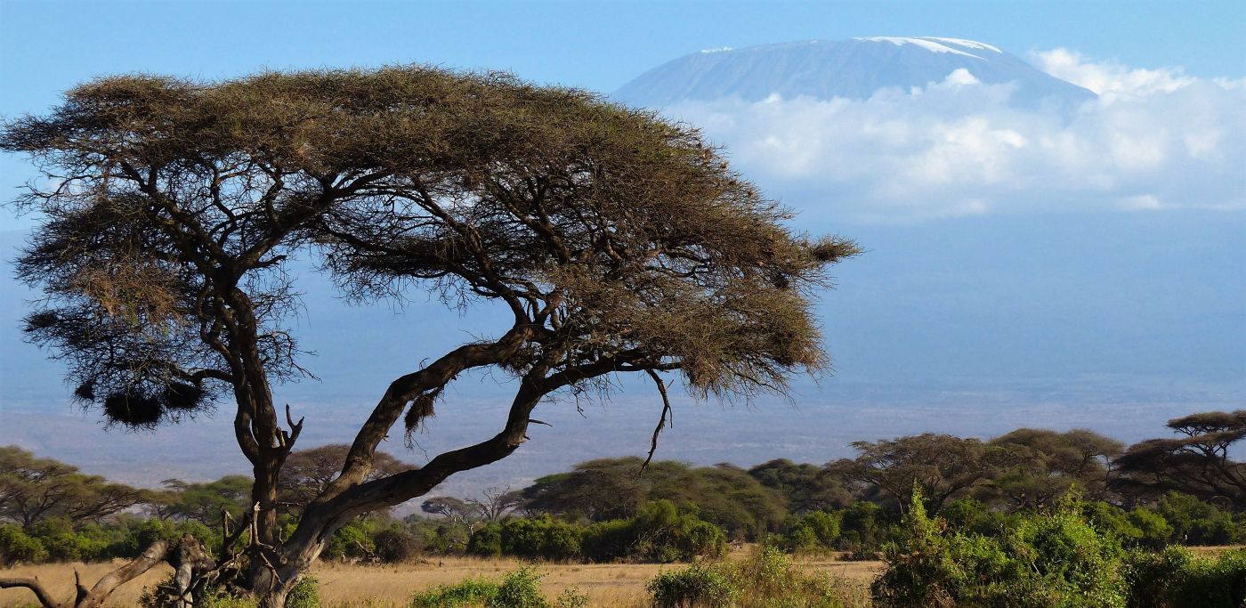 Everything you need to know about climbing Mt Kilimanjaro | Adventurous Ewe 