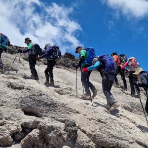 Kilimanjaro Trek – Private Group with Jo Bradshaw