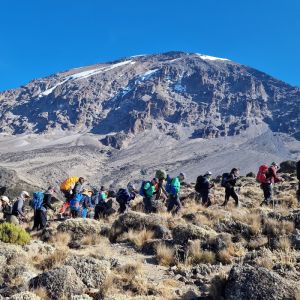 Kilimanjaro Trek – Private Group with Jo Bradshaw
