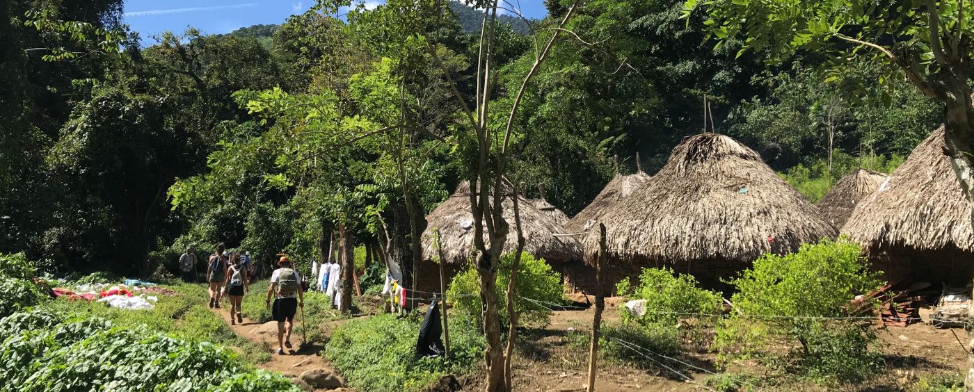 Jungle Adventure | Lost City 