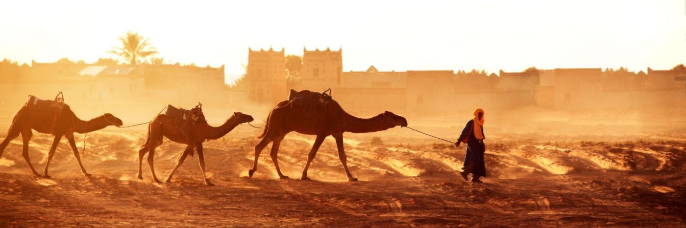 10 Reason to trek the Sahara Desert