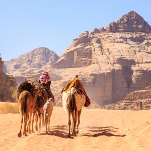 Trek to Ancient Petra, Jordan