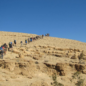 Trek to Ancient Petra, Jordan