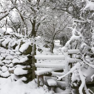 Snowdonia (Eryri) 7 Summits Winter Trek