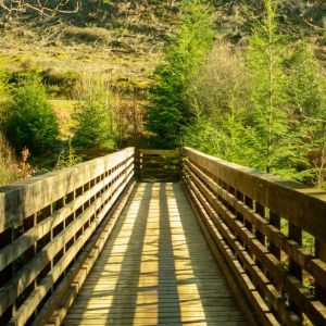 The Snowdonia (Eryri) Crossing The Clock Tower Sanctuary