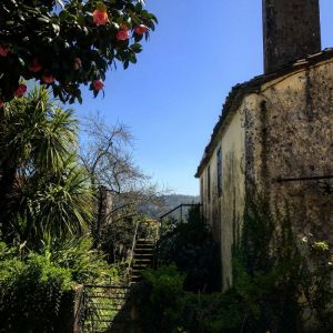 Camino de Santiago Trek